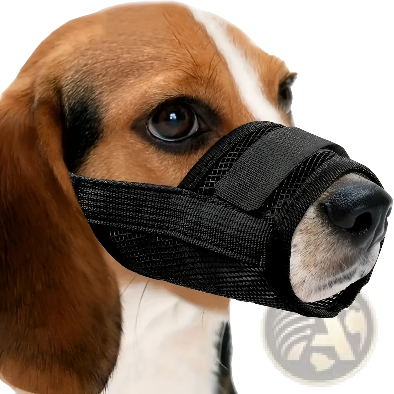 Dog Muzzle Mesh Anti Barking Adjustable Strap
