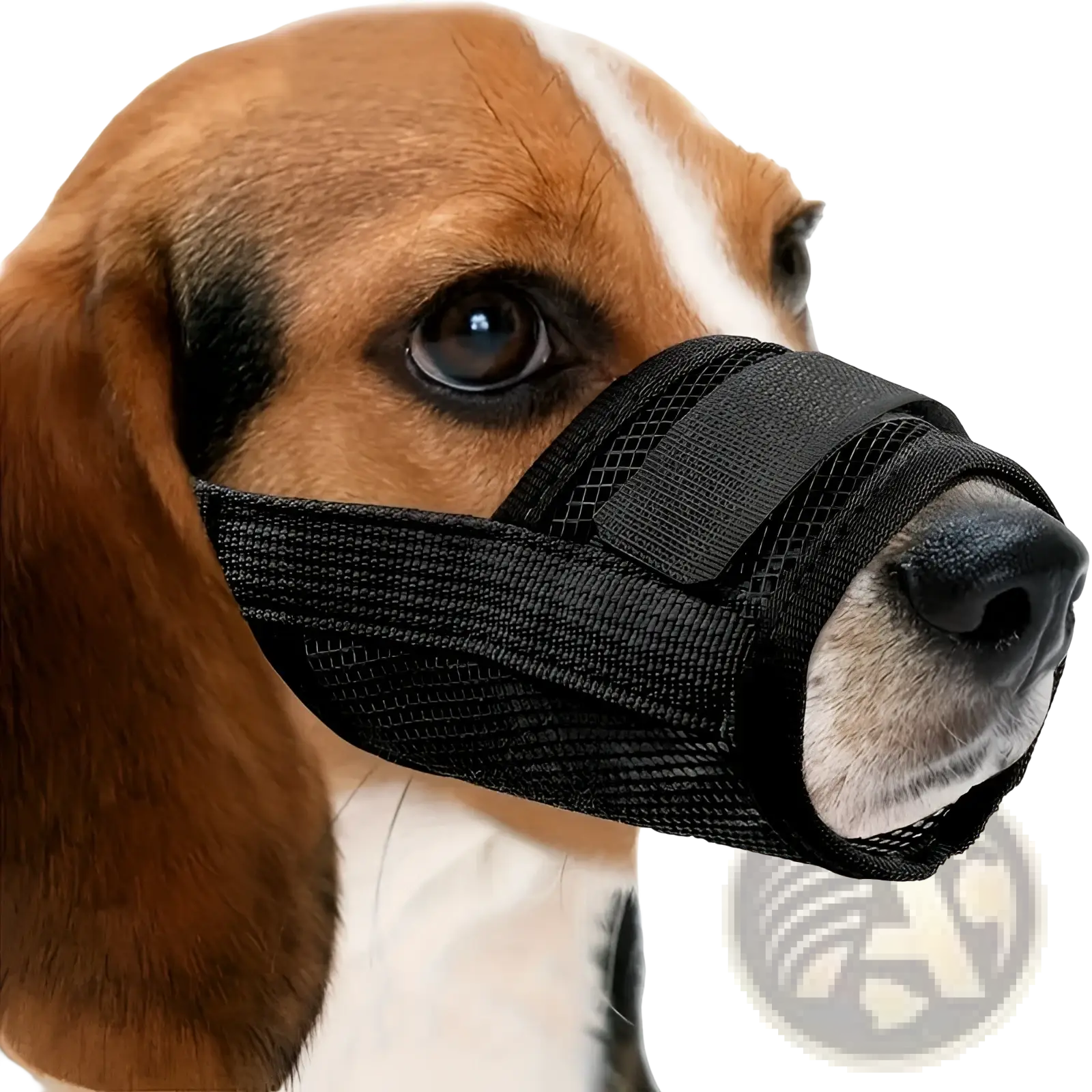 Dog Muzzle Mesh Anti Barking Adjustable Strap