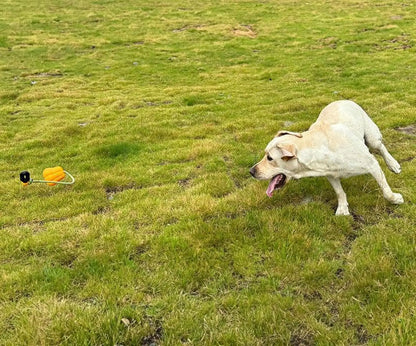 Dog Rope Fetch Toy for Aggressive Chewers Pumpkin Shape