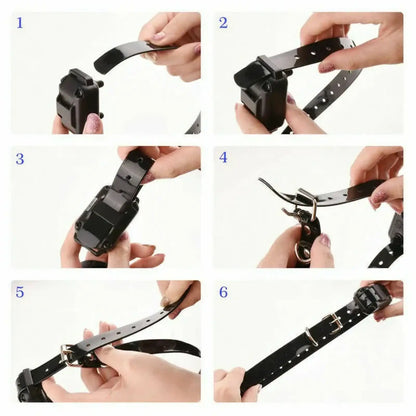 Dog Training Collar 3000 Ft Waterproof Remote