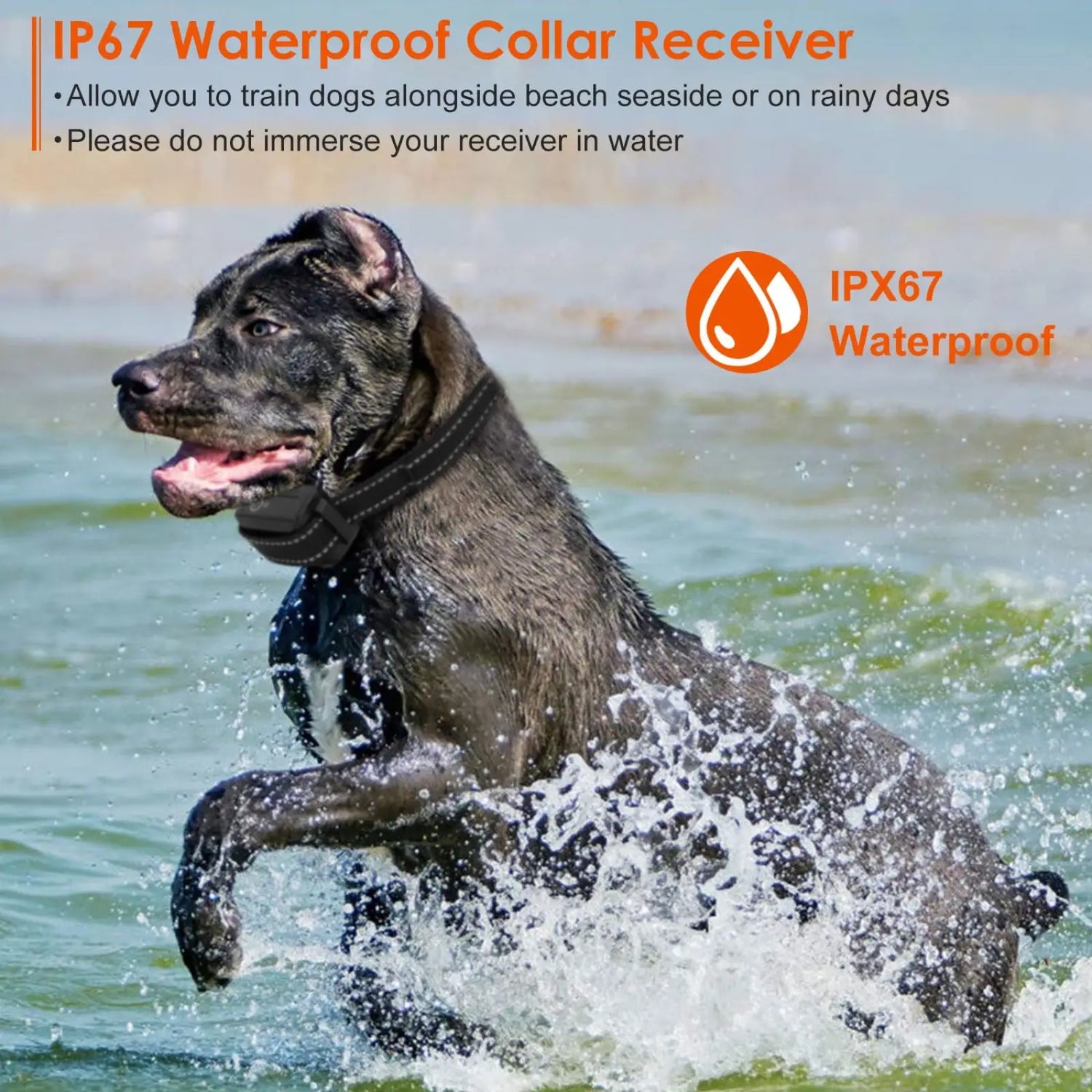 Dog Training Collar 3280ft Waterproof Shock System