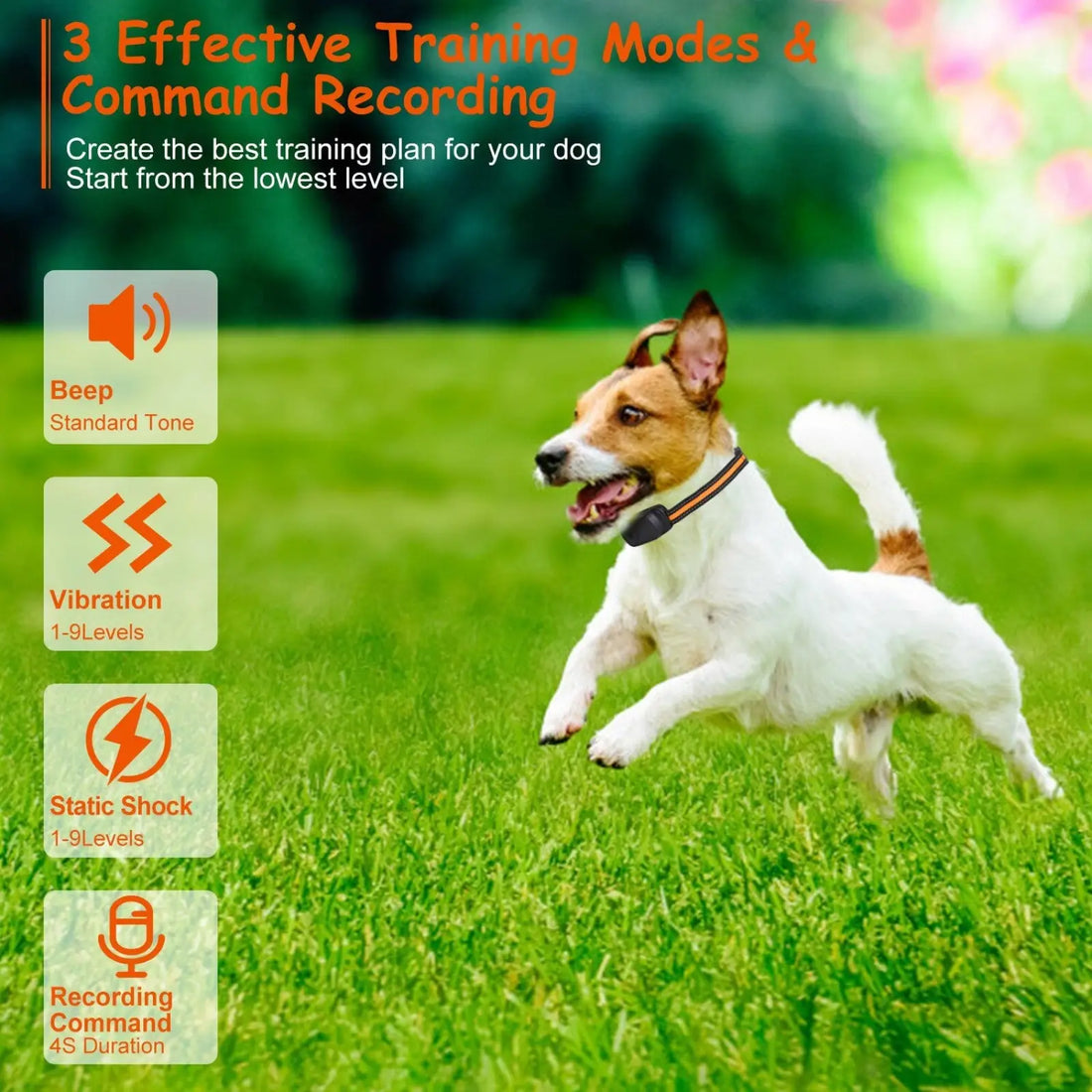 Dog Training Collar 984ft Waterproof with Voice Record