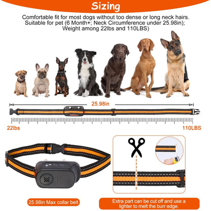 Dog Training Collar 984ft Waterproof with Voice Record