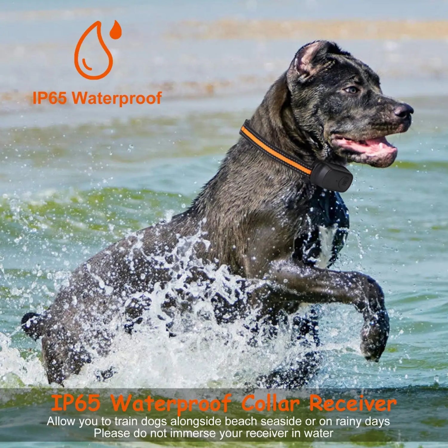 Dog Training Collar 984ft Waterproof with Voice Record