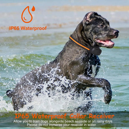 Dog Training Collar 984ft Waterproof with Voice Record
