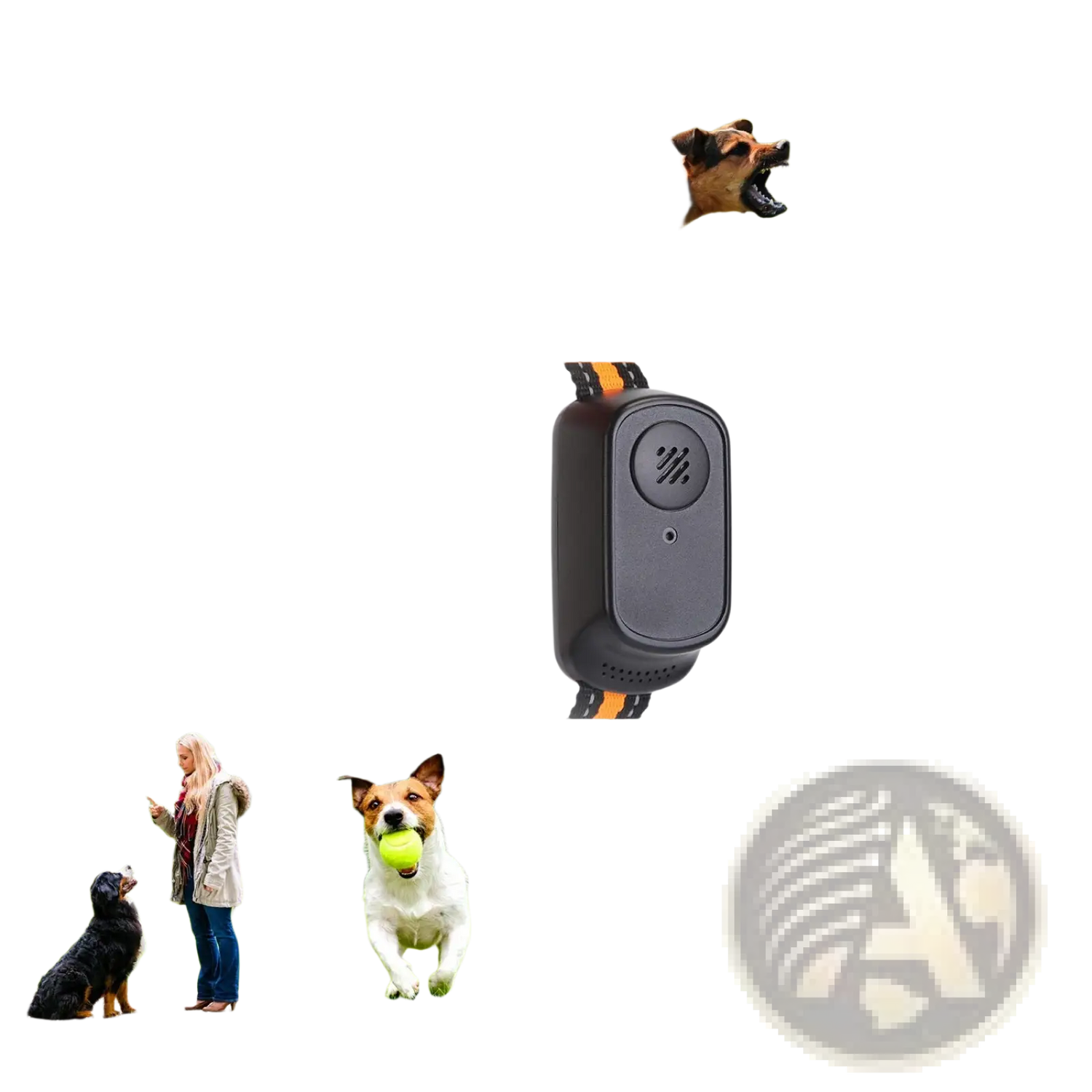 Dog Training Collar 984ft Waterproof with Voice Record