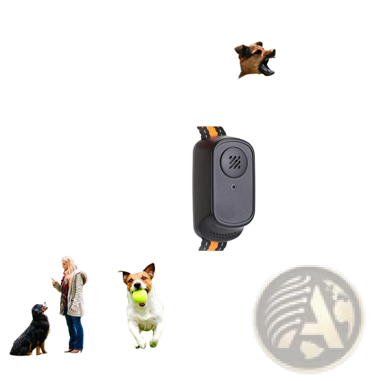 Dog Training Collar 984ft Waterproof with Voice Record