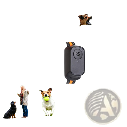 Dog Training Collar 984ft Waterproof with Voice Record
