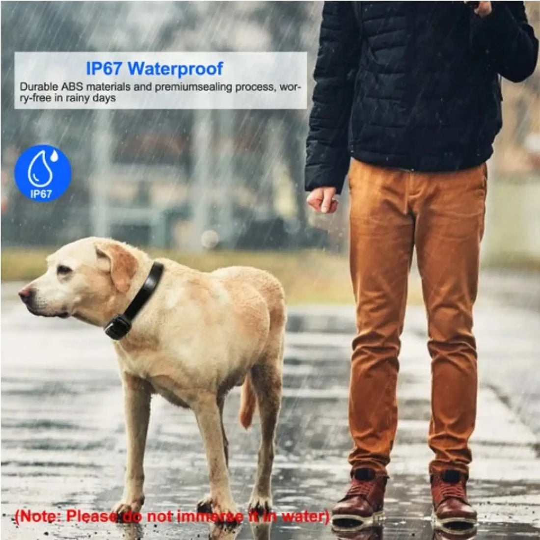 Dog Training Collar Receiver Ip67 Waterproof Pet Supply
