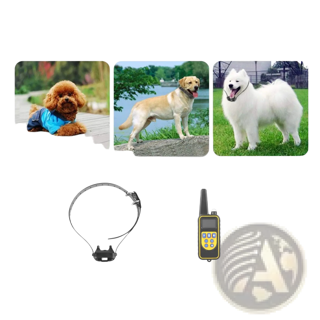 Dog Training Collar with Remote Ip67 Waterproof