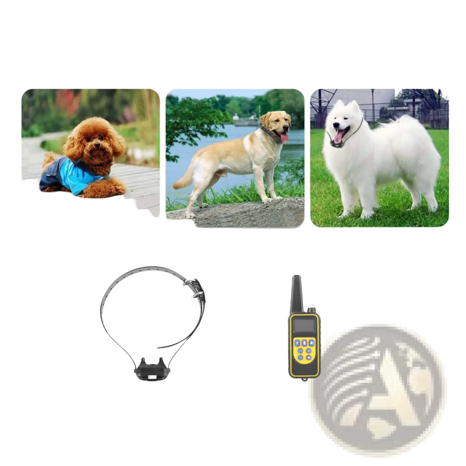 Dog Training Collar with Remote Ip67 Waterproof