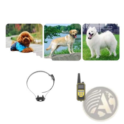 Dog Training Collar with Remote Ip67 Waterproof