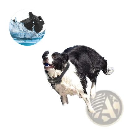 Dog Training Collar with Remote Ip67 Waterproof