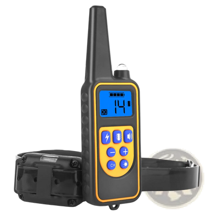 Dog Training Collar with Remote Ip67 Waterproof