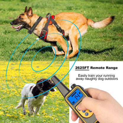 Dog Training Collar with Remote Ip67 Waterproof