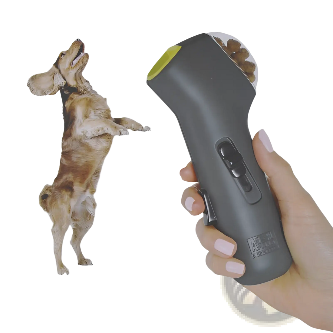 Dog Training Snack Launcher Pet Treat Shooter