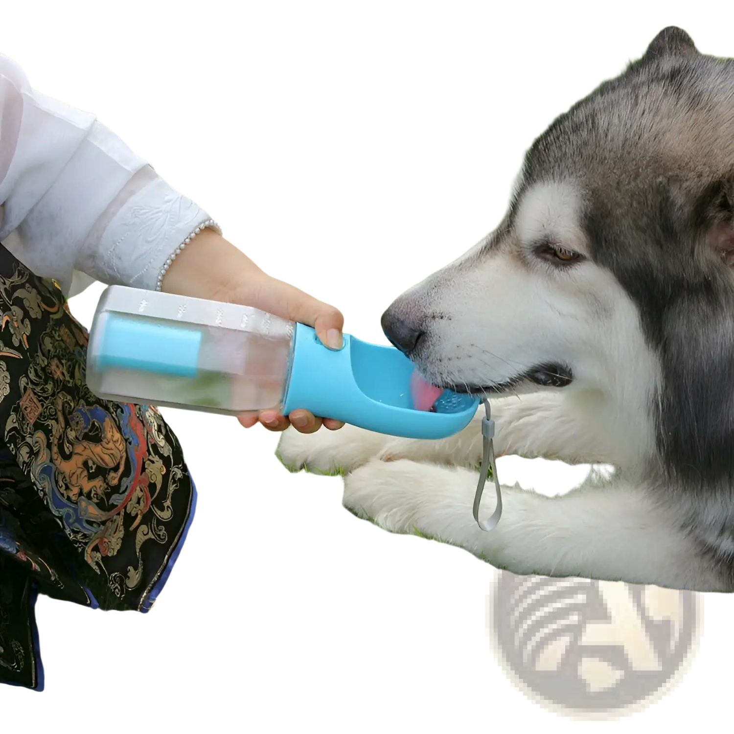 Dog Water Bottle 3 in 1 Portable Feeder with Poop Bag