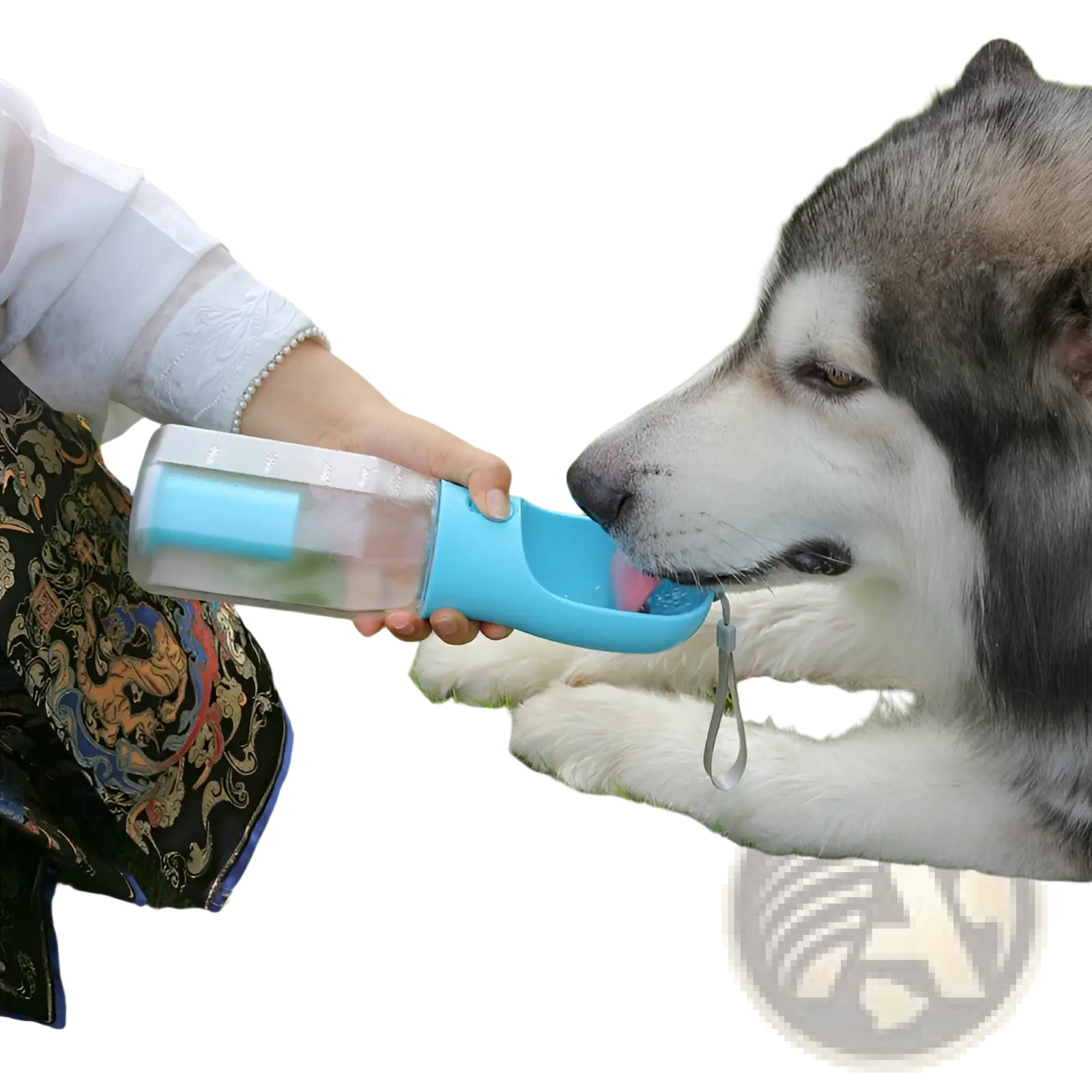 Dog Water Bottle 3 in 1 Portable Feeder with Poop Bag