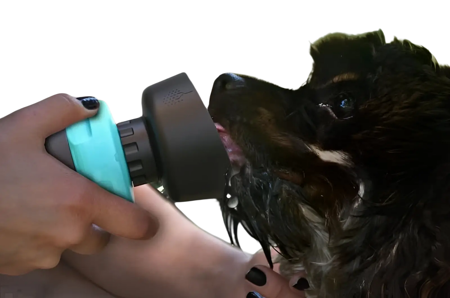 Dog Water Bottle Foldable Travel Dispenser Bowl