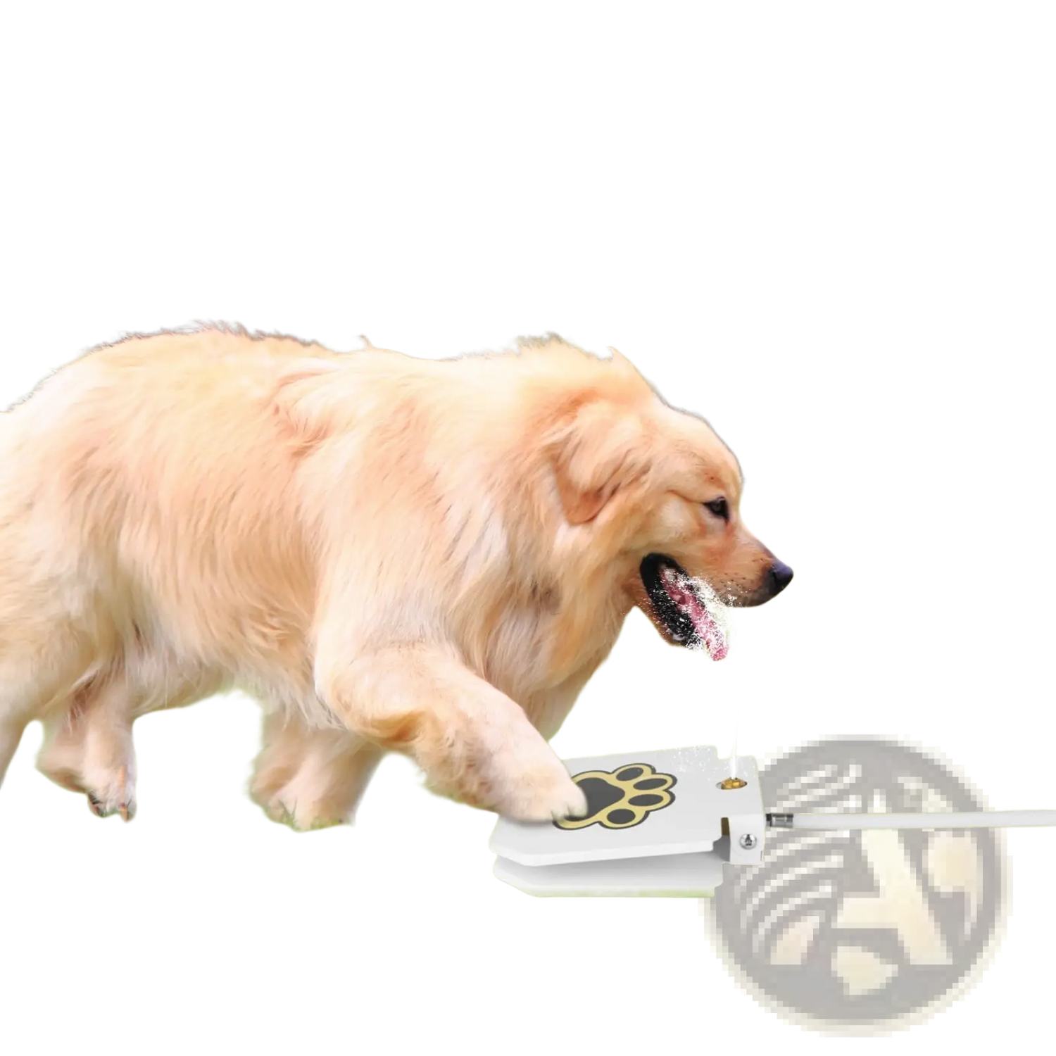 Dog Water Fountain Step on Outdoor Pet Sprinkler Valve
