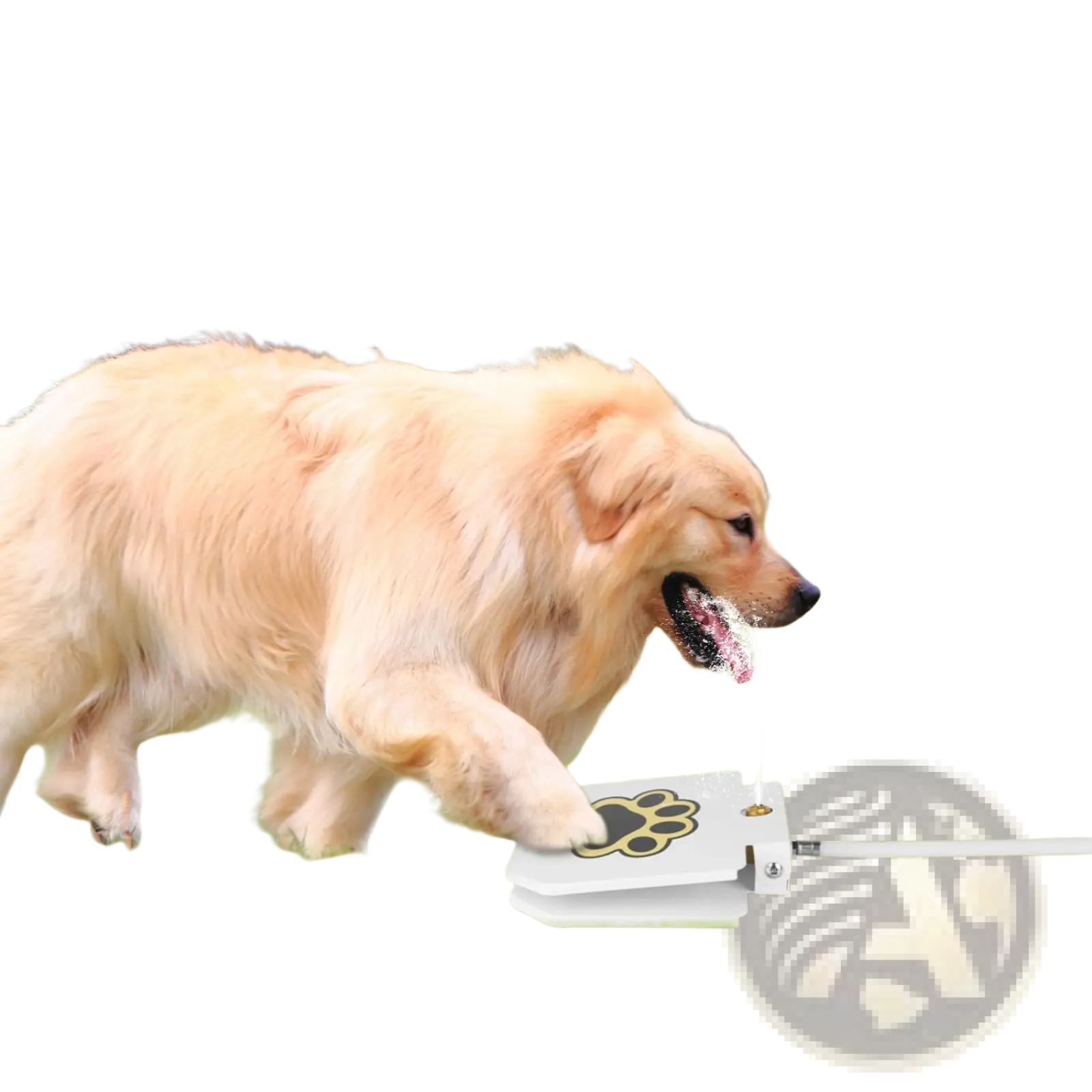 Dog Water Fountain Step on Outdoor Pet Sprinkler Valve