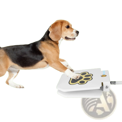 Dog Water Fountain Step on Outdoor Pet Sprinkler Valve