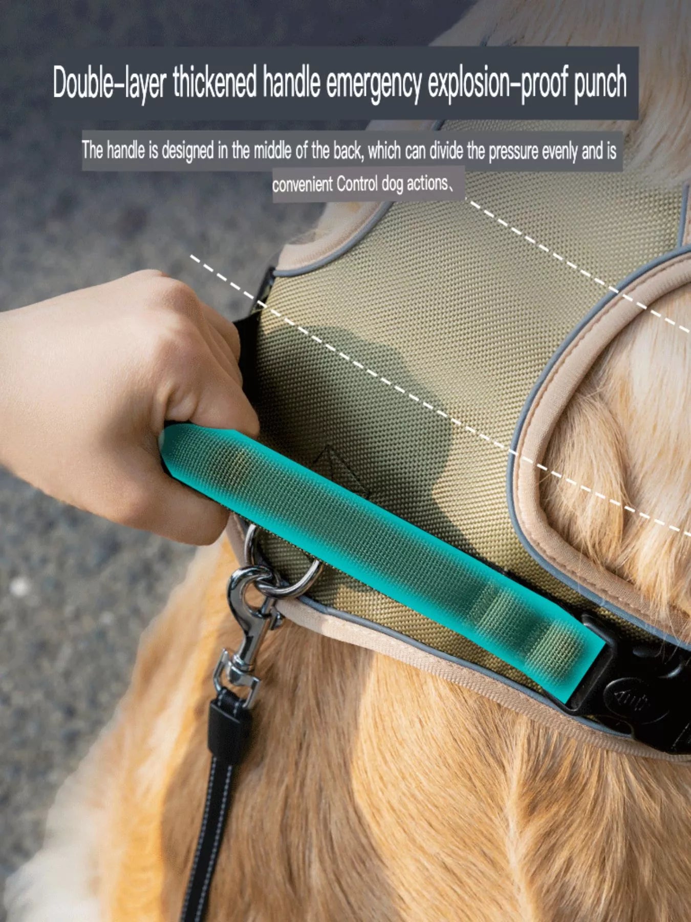 Adjustable Reflective Pet Harness