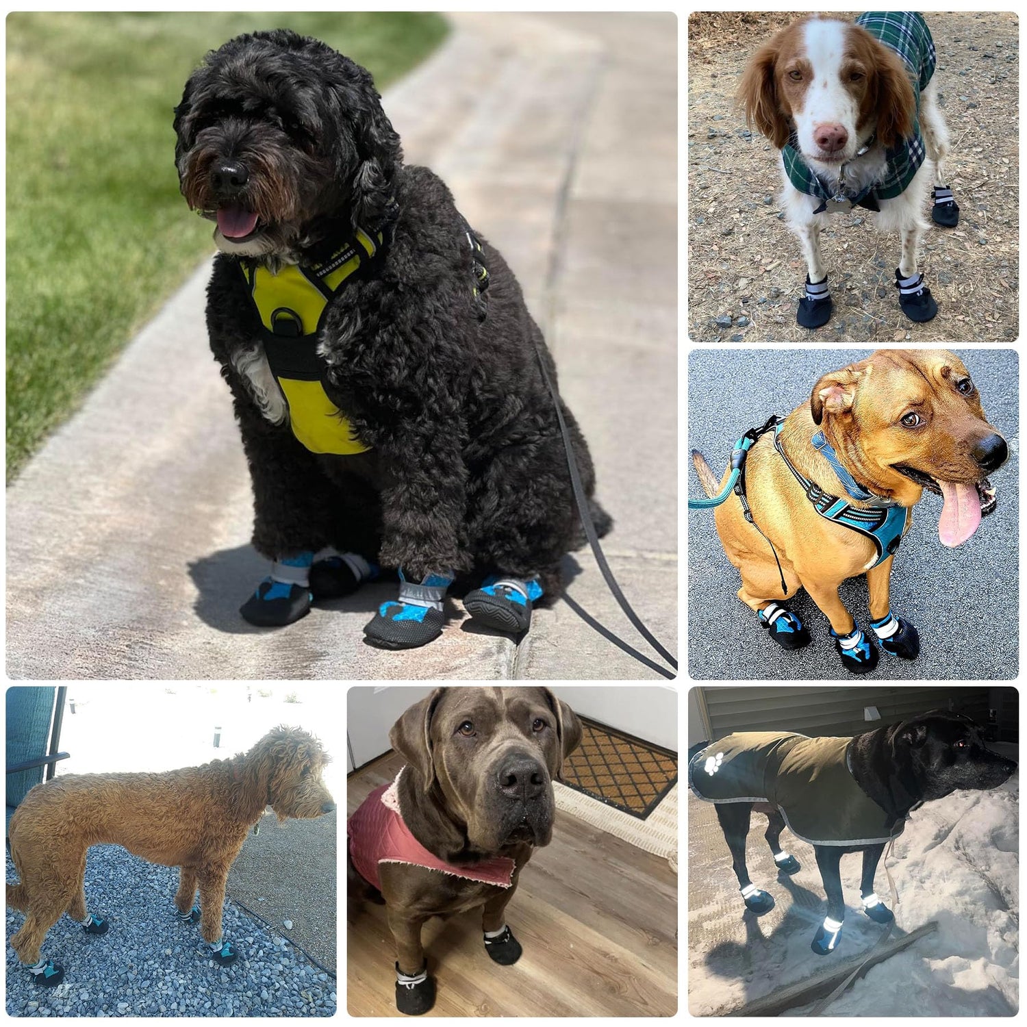 DiWater-Resistant Dog Boots For Medium Large Dogs,Non-Slip Dog Shoes For Winter Snow,Lightweight Paw Protector For Cold Pavement,Soft Dog Booties For Outdoor Walking Indoor Hardfloors