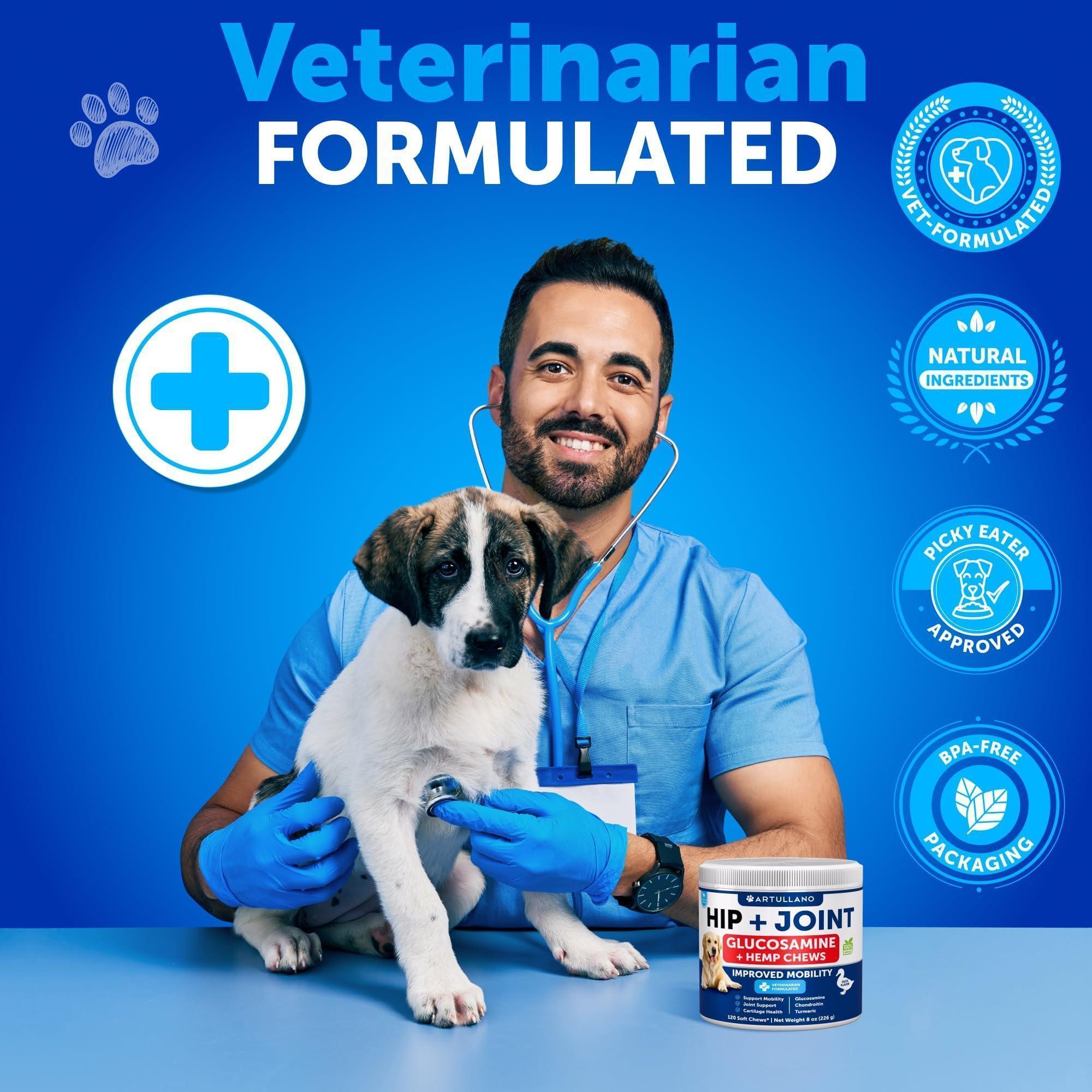 Hemp Hip &amp; Joint Supplement for Dogs 240 Count 2-Pack Glucosamine Chondroitin &amp; MSM