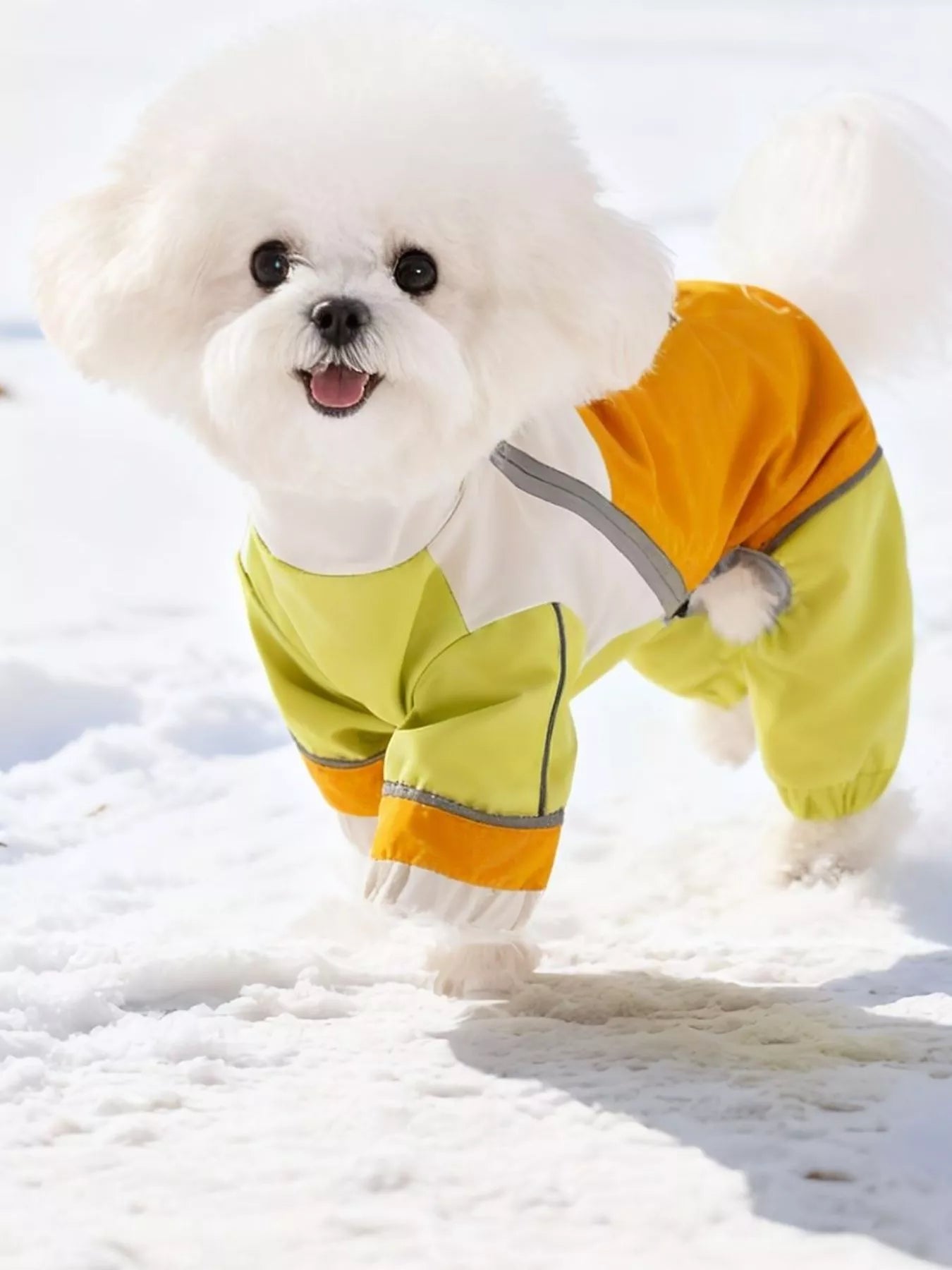 Color Block Warm Pet Jumpsuit