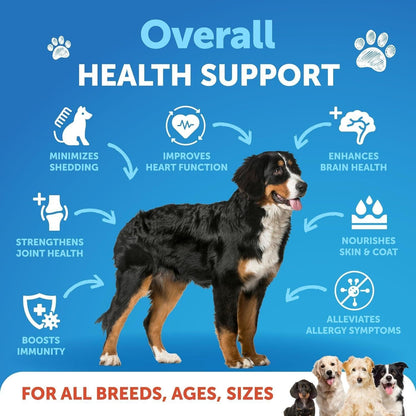 Omega-3 Fish Oil for Dogs 16 fl oz Skin &amp; Coat Support