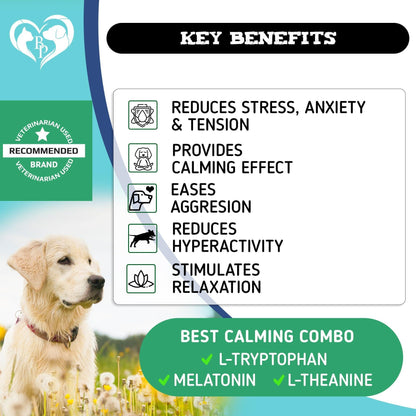 Hemp Calming Chews for Dogs Separation Anxiety Relief