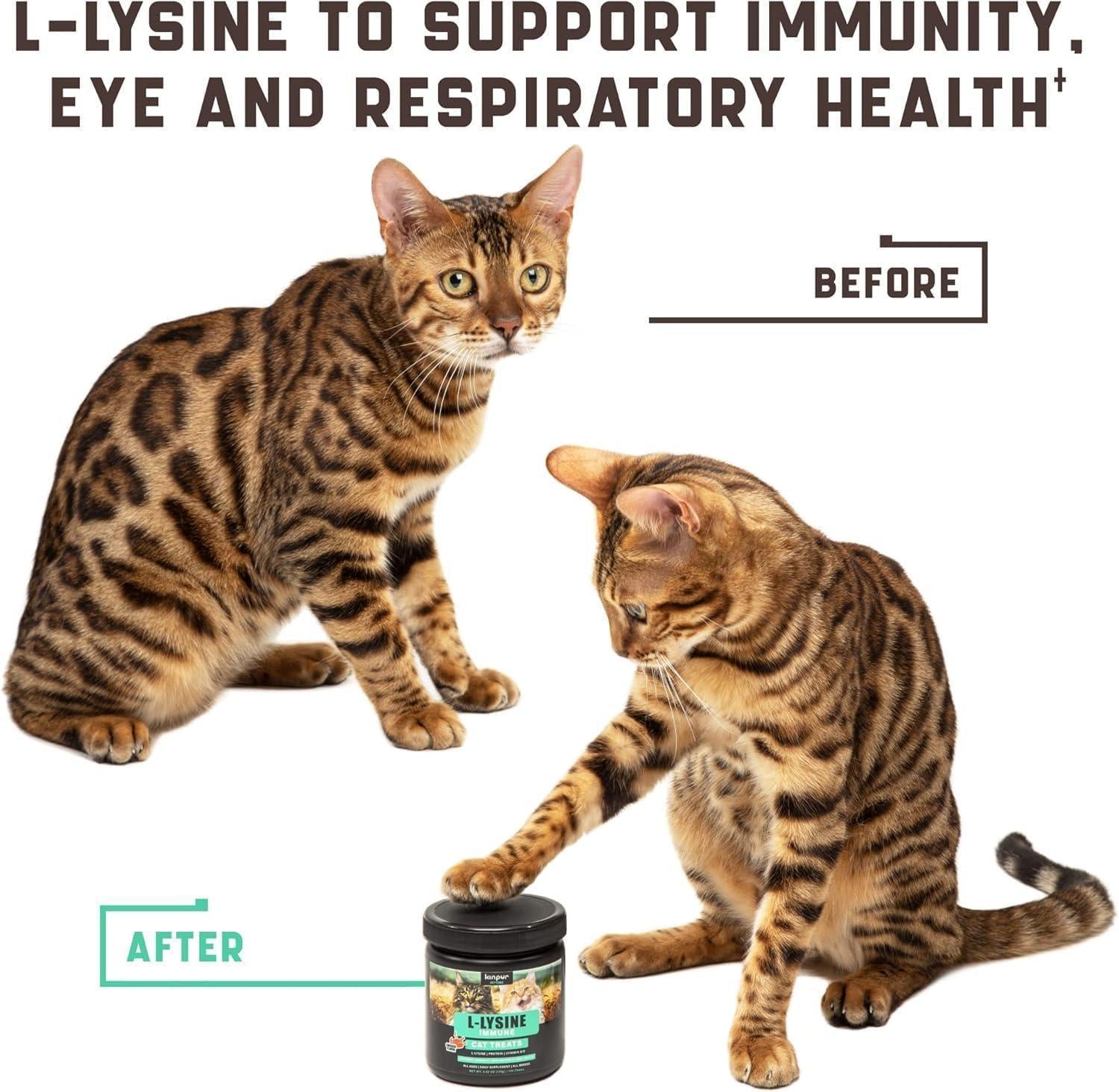 Lysine Cat Treats Immune Support Respiratory &amp; Eye Health