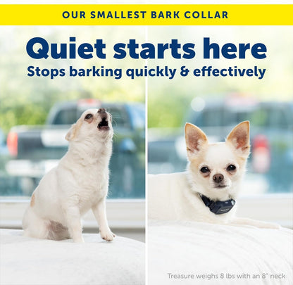 PetSafe NanoBark 2.0 Bark Collar for Small Dogs Rechargeable Waterproof