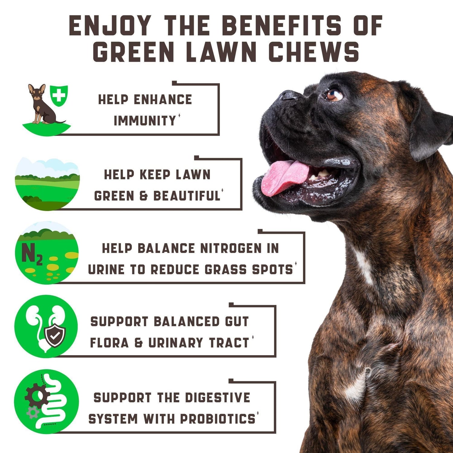 Green Lawn Chews for Dogs Urine Neutralizer Cranberry ACV &amp; Enzymes