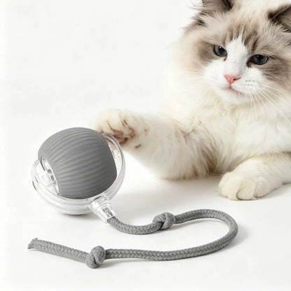 Electric Dog Cat Ball Toy,Indoor Large And Small Cat Dog Interactive Intelligent Rolling Pet Ball
