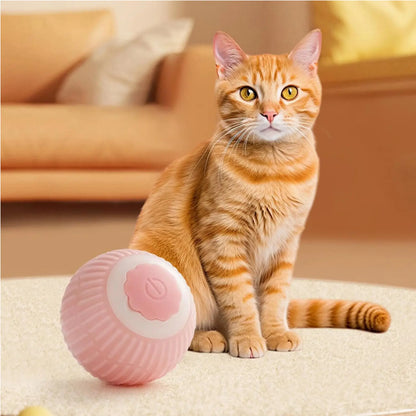 Electric Dog Cat Ball Toy Interactive Rolling Pet Ball