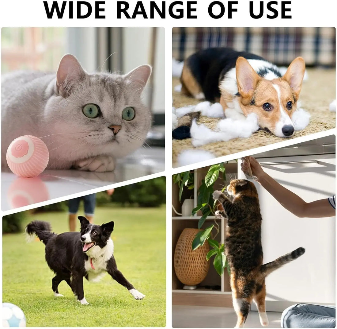 Electric Dog Cat Ball Toy Interactive Rolling Pet Ball