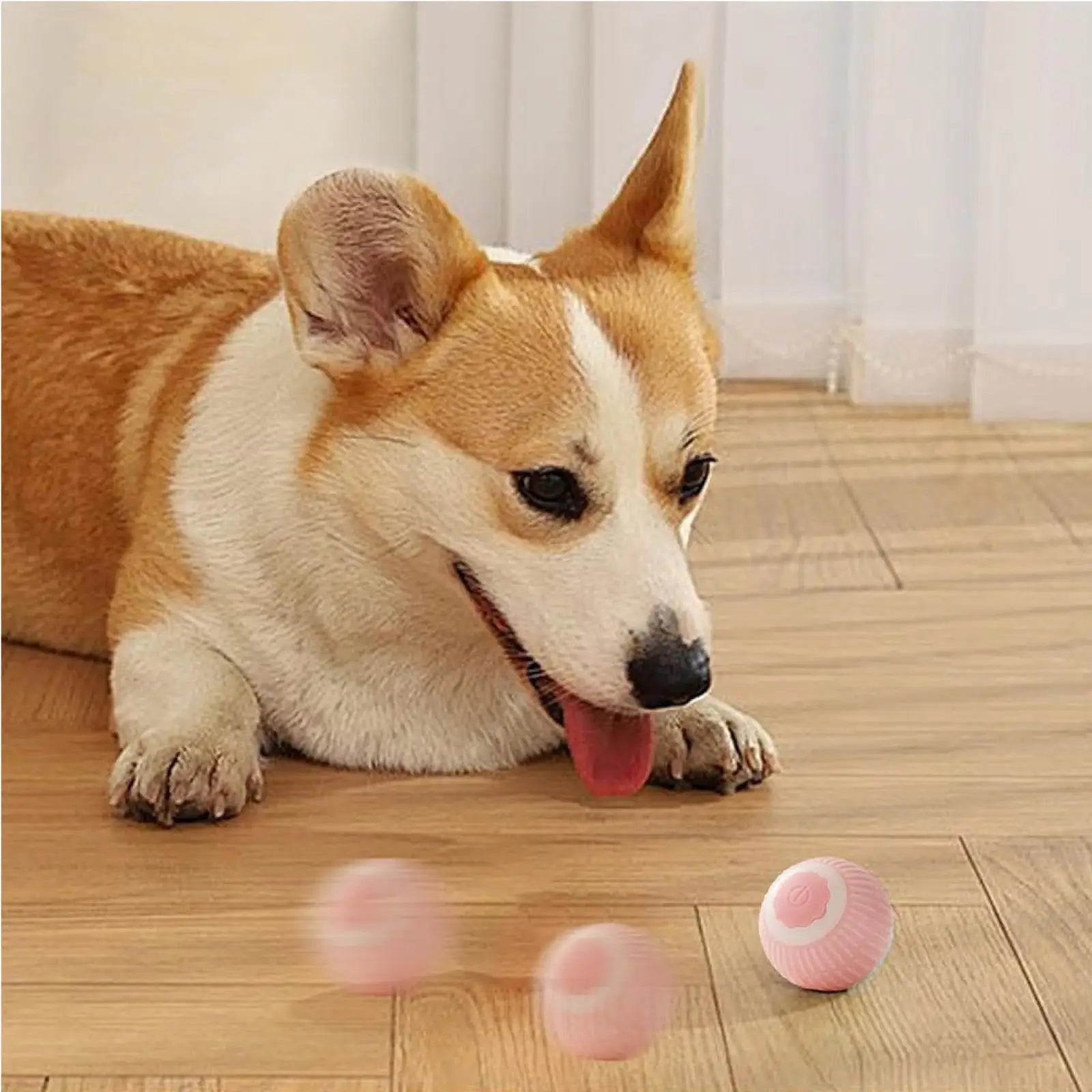 Electric Dog Cat Ball Toy Interactive Rolling Pet Ball
