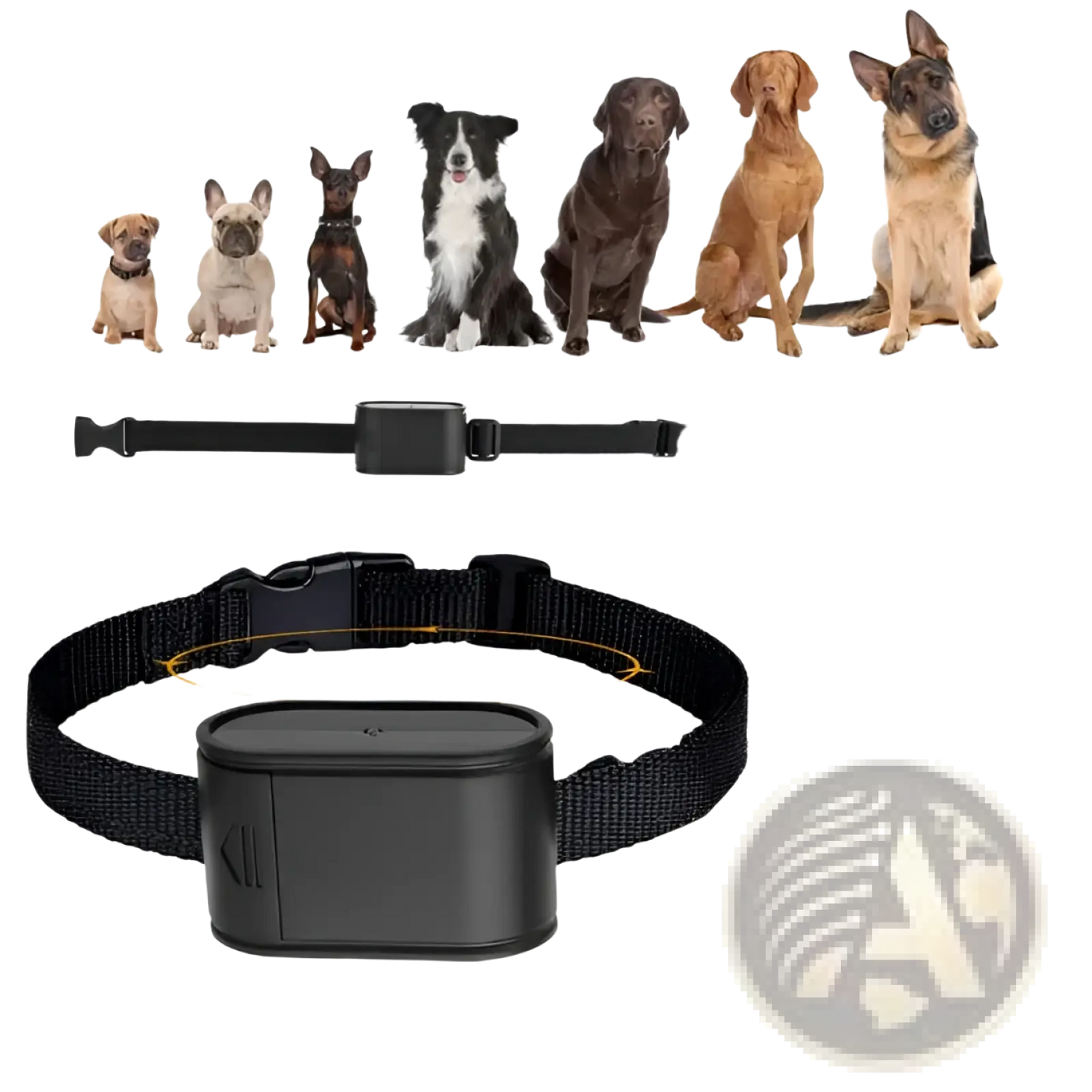 Electric Dog Fence System with 2 Collars and Wire