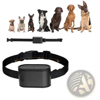 Electric Dog Fence System with 2 Collars and Wire