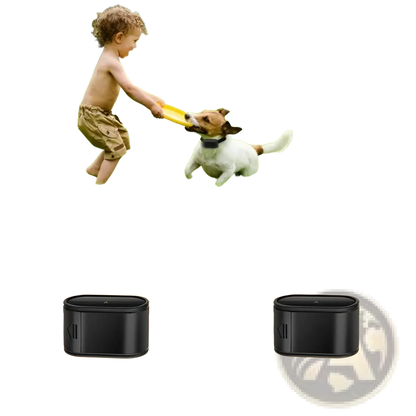 Electric Dog Fence System with 2 Collars and Wire