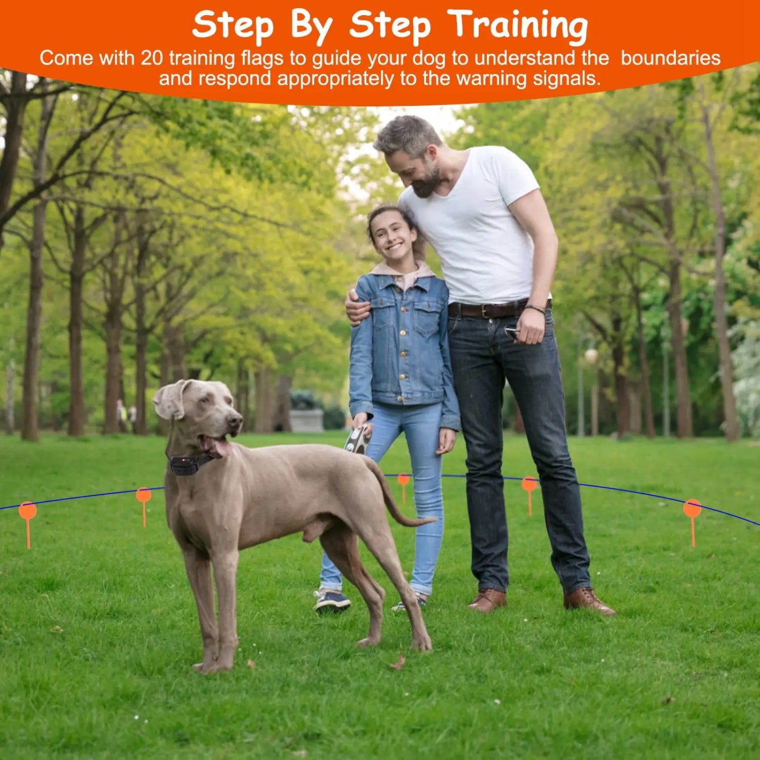 Electric Dog Fence System Ipx7 Waterproof Pet Containment