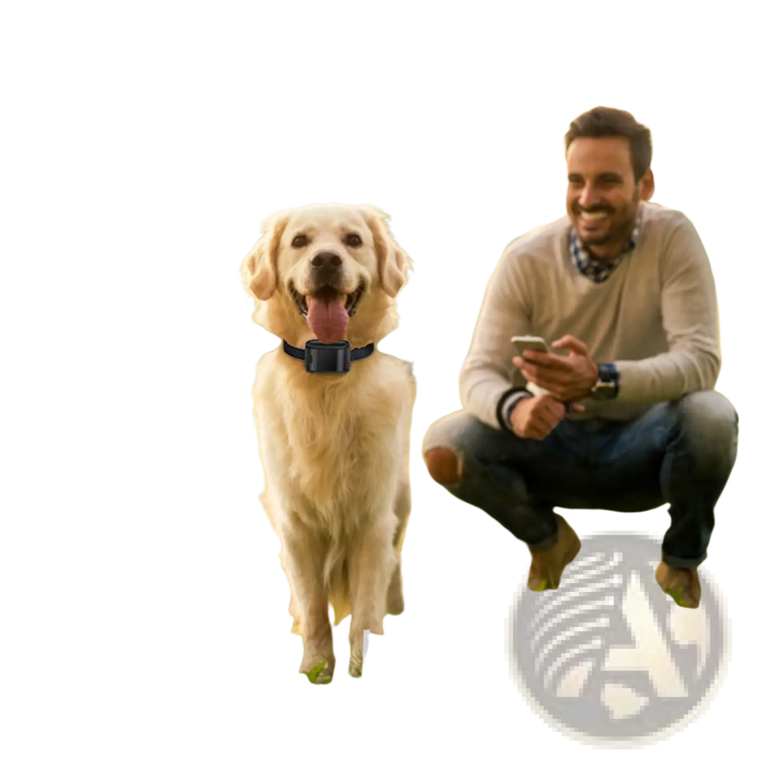 Electric Dog Fence System with Water Resistant Collar