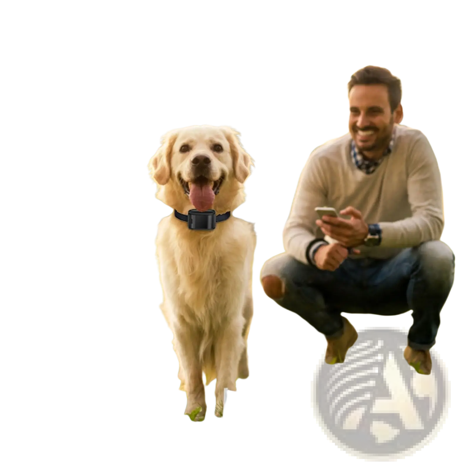 Electric Dog Fence System with Water Resistant Collar