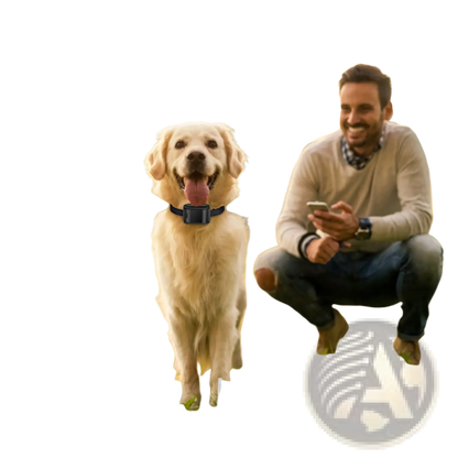 Electric Dog Fence System with Water Resistant Collar