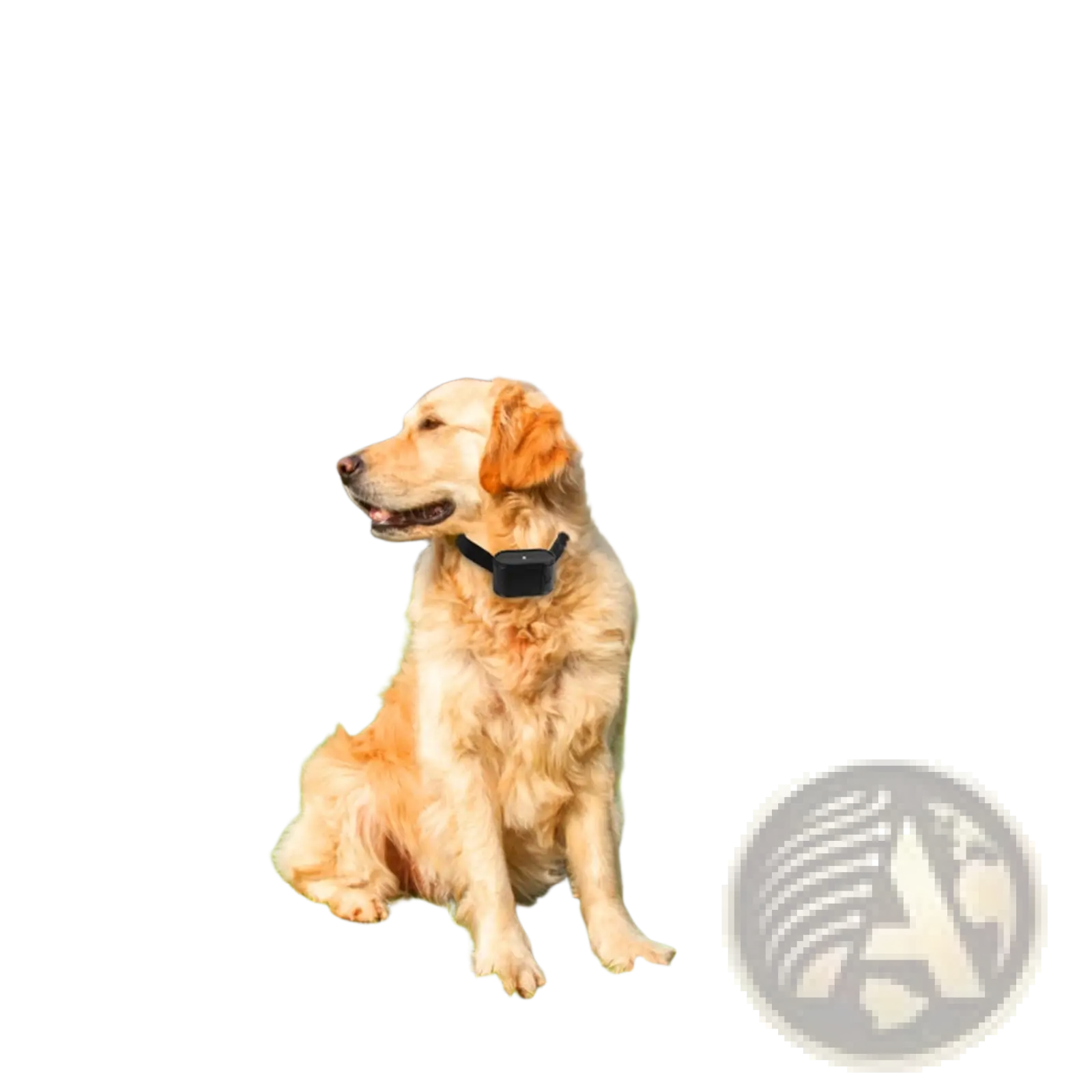 Electric Dog Fence System with Water Resistant Collar