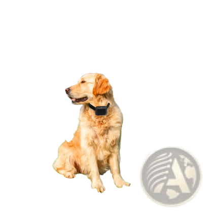 Electric Dog Fence System with Water Resistant Collar