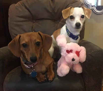 EXTRA LARGE Hearts, Love &amp; Candy Dog Toy: Squeak &amp; NO Squeak