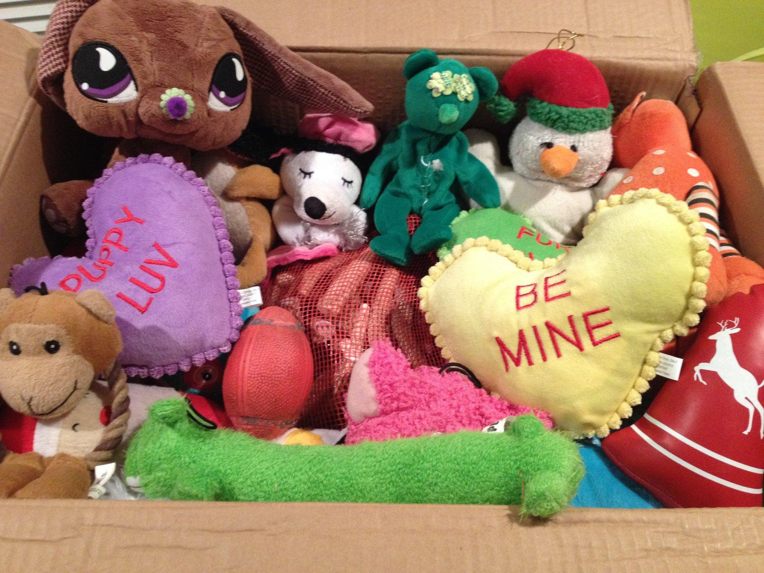 EXTRA LARGE Hearts, Love &amp; Candy Dog Toy: Squeak &amp; NO Squeak